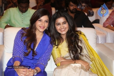 Sri Venkateshwara Creations 2017 Success Celebrations - 136 of 140