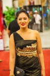 Stars at SIIMA 2013 Awards 01 - 78 of 100