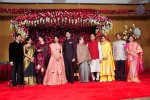 Subbarami Reddy Grand Son Wedding Reception at Delhi 01 - 237 of 246