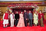 Subbarami Reddy Grand Son Wedding Reception at Delhi 01 - 246 of 246