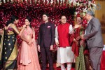 Subbarami Reddy Grand Son Wedding Reception at Delhi 02 - 183 of 246