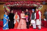 Subbarami Reddy Grand Son Wedding Reception at Delhi 02 - 221 of 246
