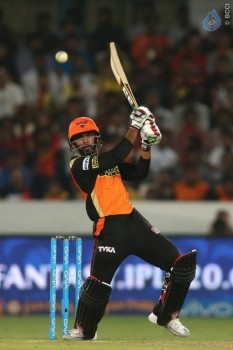 Sunrisers vs Royal Challengers Match Photos - 22 of 41