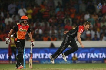 Sunrisers vs Royal Challengers Match Photos - 29 of 41