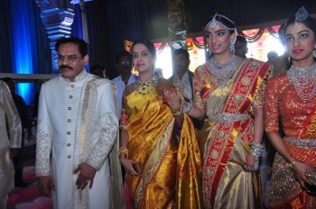 T. Subbarami Reddy Grandson Keshav Wedding Photos 1 - 47 of 62