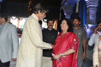 T. Subbarami Reddy Grandson Keshav Wedding Photos 1 - 57 of 62