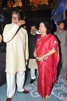 T. Subbarami Reddy Grandson Keshav Wedding Photos 1 - 59 of 62