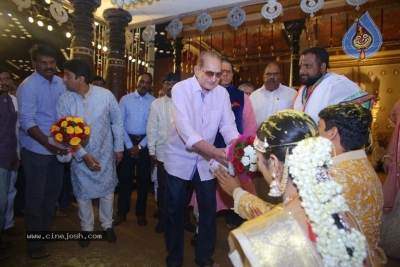 T Subbarami Reddy Grandson Anirudh Wedding Photos - 24 of 76
