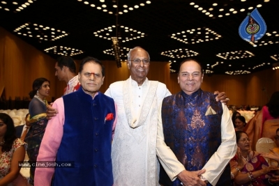 T Subbarami Reddy Grandson Anirudh Wedding Photos - 41 of 76