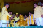 TDP Mahanadu 2013 Photos - 3 of 150