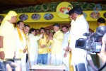 TDP Mahanadu 2013 Photos - 15 of 150