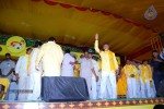 TDP Mahanadu 2013 Photos - 18 of 150