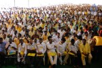 TDP Mahanadu 2013 Photos - 19 of 150