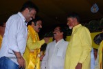 TDP Mahanadu 2013 Photos - 22 of 150