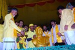 TDP Mahanadu 2013 Photos - 55 of 150