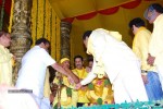 TDP Mahanadu 2013 Photos - 107 of 150