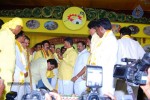 TDP Mahanadu 2013 Photos - 137 of 150