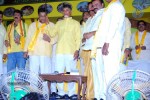 TDP Mahanadu 2013 Photos - 148 of 150