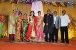 TG Thyagarajan Son Wedding Reception - 12 of 58