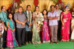Thambi Ramaiah Daughter Wedding n Reception - 56 of 68