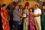 Thambi Ramaiah Daughter Wedding n Reception - 66 of 68