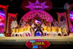 Top Celebs at SIIMA Awards 2014 - 77 of 150