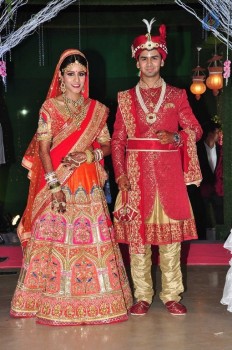 Trupthi and Ankit Wedding Reception - 1 of 57