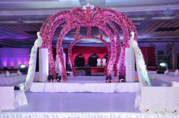 Trupthi and Ankit Wedding Reception - 4 of 57