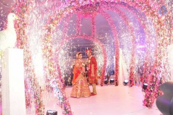 Trupthi and Ankit Wedding Reception - 7 of 57