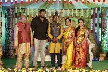 Writer Thota Prasad Daughter Wedding Reception Photos - 27 of 38