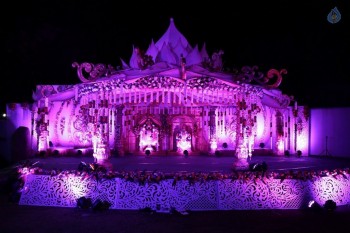 Writer Thota Prasad Daughter Wedding Reception Photos - 29 of 38