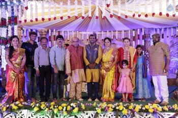 Writer Thota Prasad Daughter Wedding Reception Photos - 30 of 38