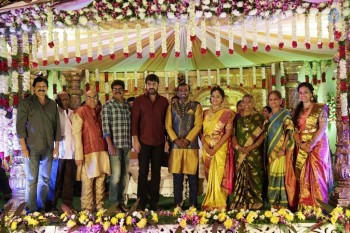 Writer Thota Prasad Daughter Wedding Reception Photos - 32 of 38