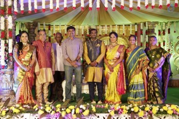Writer Thota Prasad Daughter Wedding Reception Photos - 36 of 38