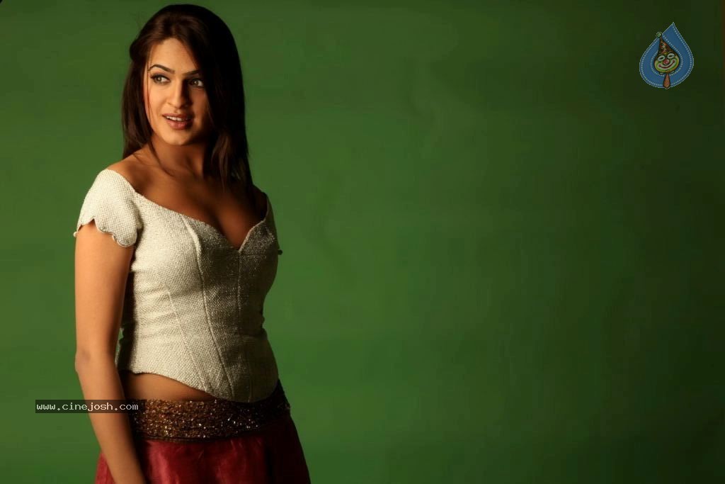 Aditi Agarwal Spicy Stills - 19 / 68 photos