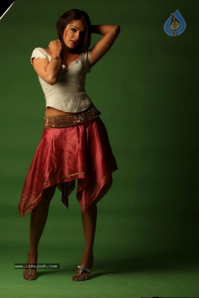 Aditi Agarwal Spicy Stills - 28 / 68 photos