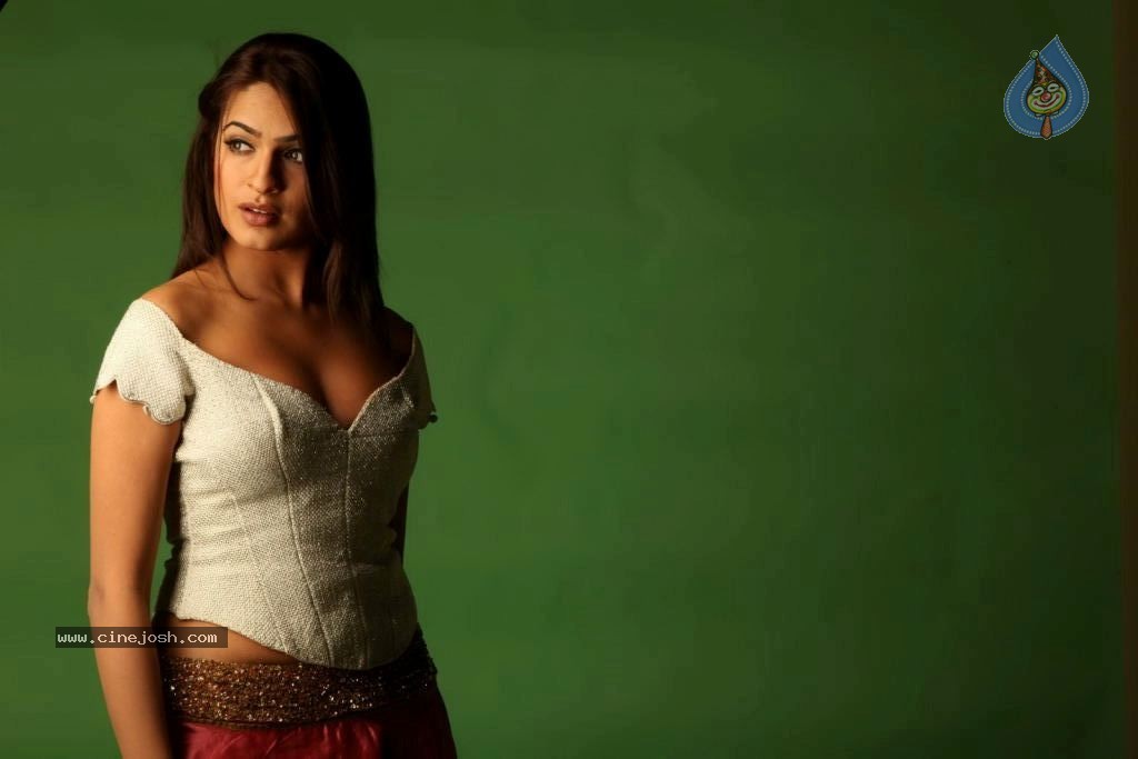 Aditi Agarwal Spicy Stills - 30 / 68 photos