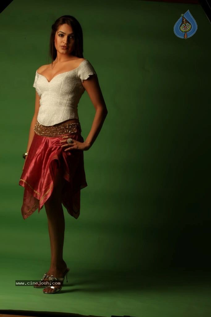 Aditi Agarwal Spicy Stills - 57 / 68 photos