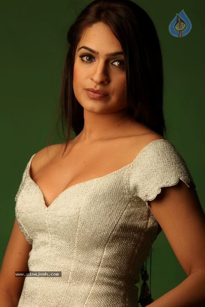 Aditi Agarwal Spicy Stills - 65 / 68 photos