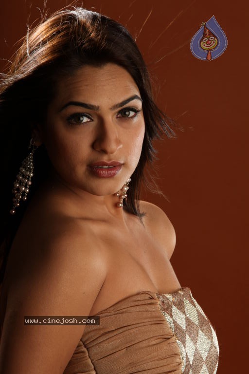 Aditi Agarwal Spicy Stills - 22 / 38 photos
