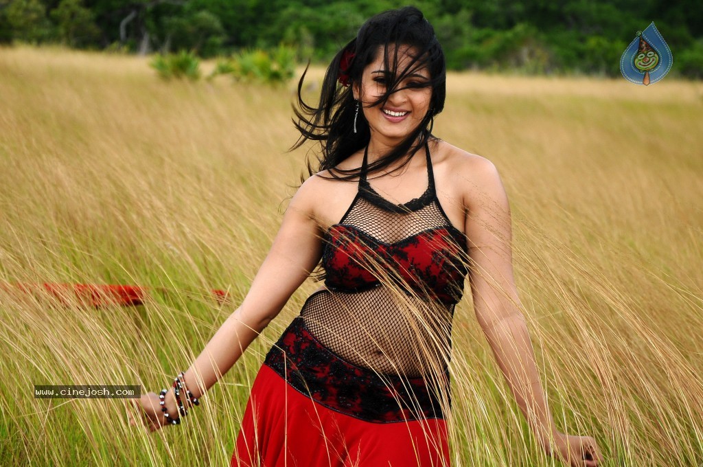 Anushka Hot Gallery - 13 / 74 photos