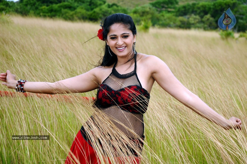 Anushka Hot Gallery - 27 / 74 photos