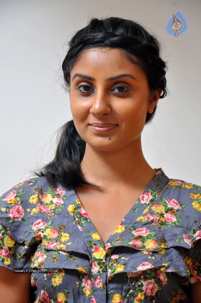 Bhanu Sri Mehra Hot Stills - 26 / 78 photos