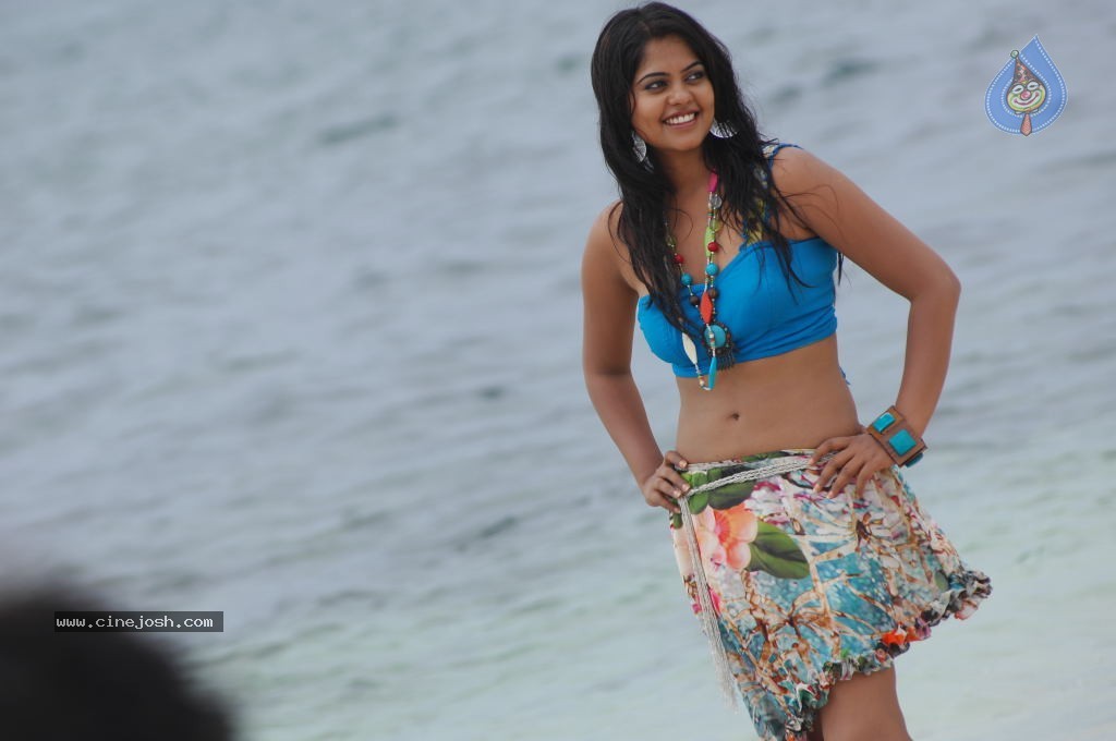 Bindu Madhavi Hot Photos - 68 / 102 photos