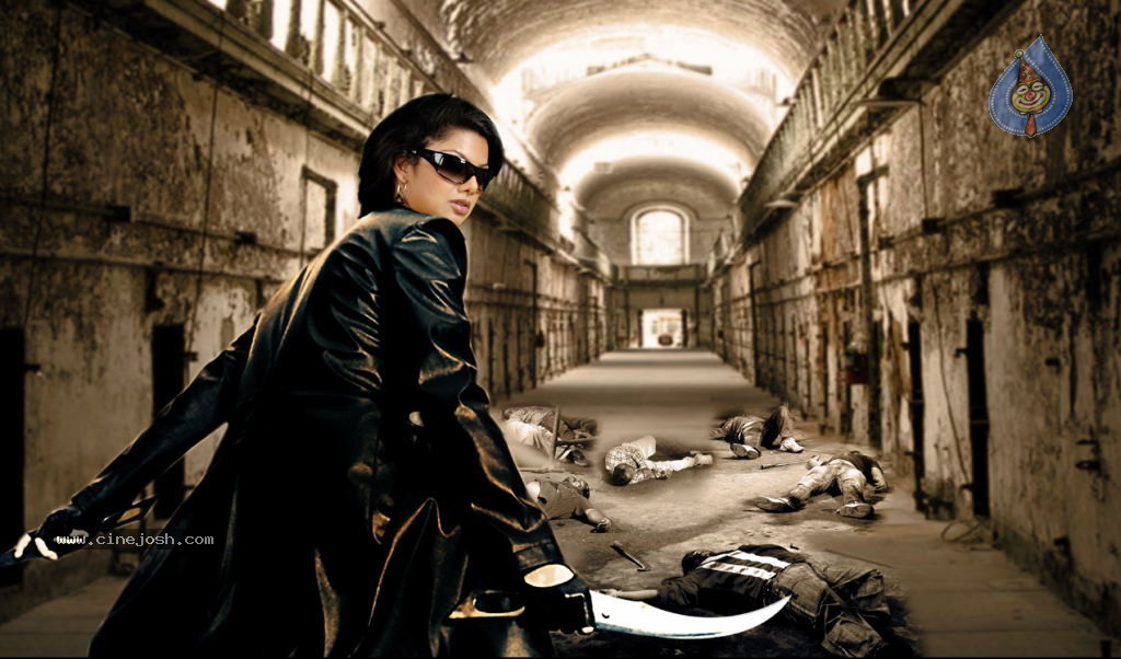 Company  - 4 / 11 photos