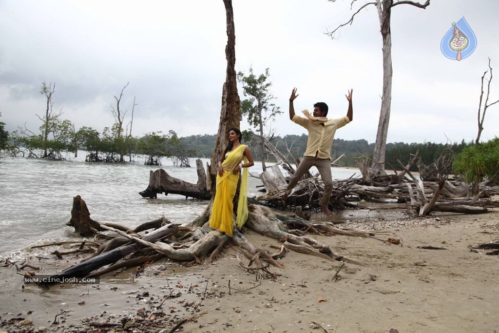 Ethir Neechal Tamil Movie Spicy Stills - 20 / 34 photos