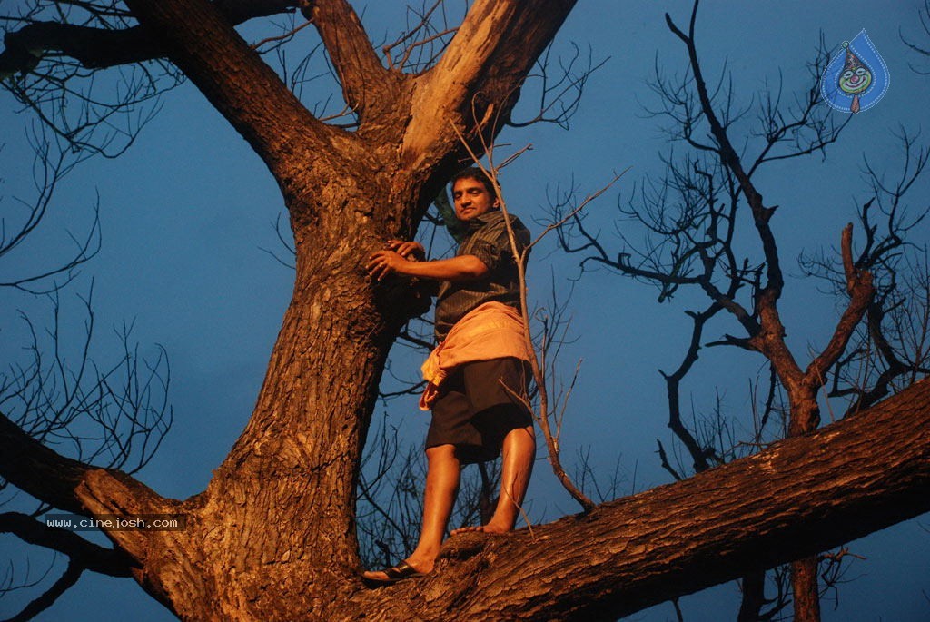 Kanna Laddu Thinna Aasaiya Tamil Movie Hot Stills - 67 / 89 photos