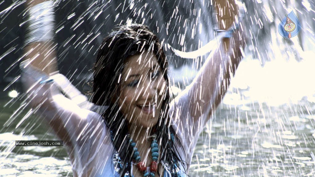 Kattu Puli Tamil Movie Spicy Stills - 22 / 49 photos