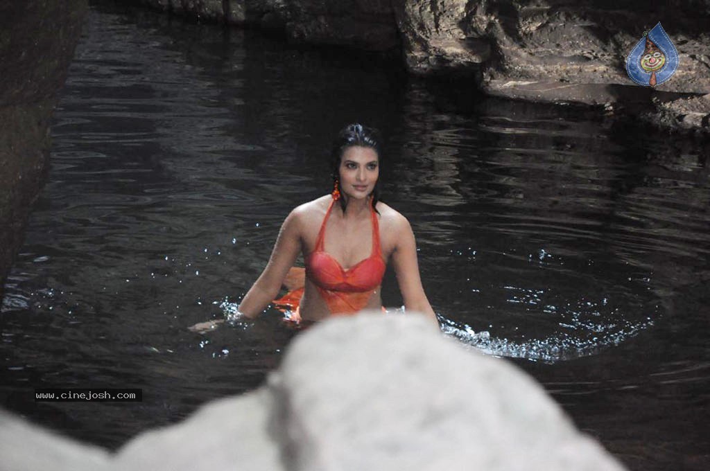 Kattu Puli Tamil Movie Spicy Stills - 24 / 49 photos