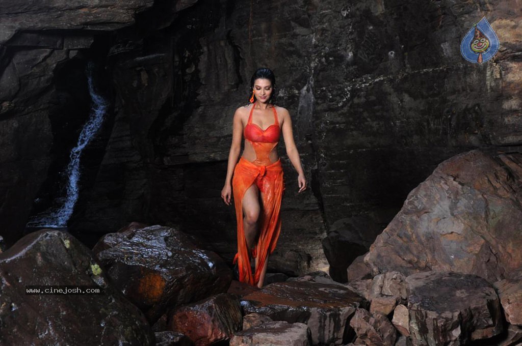 Kattu Puli Tamil Movie Spicy Stills - 31 / 49 photos